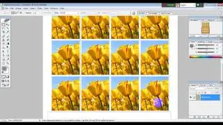 How to create passport photo in short time.