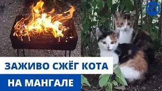 СЖЁГ КОТА ЗАЖИВО НА МАНГАЛЕ