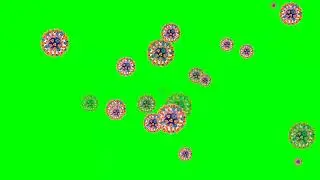 Orange Ferozi  Corona Virus Green Screen 4K UHD