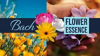 Bach Original Flower Essence Remedies