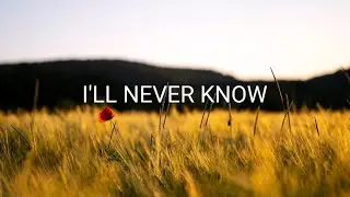 I'll Never Know w/lyrics - The Taylors