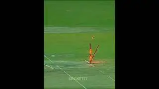 Tayyab Tahir excellent run out💫🤩