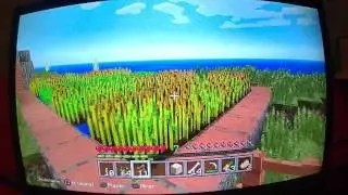 MINECRAFT #4 SURVIE PS3