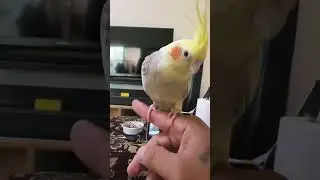 😍😍😍