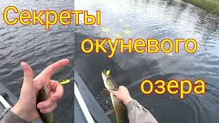 Ловля щуки и окуня на вертушки