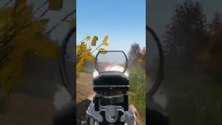 Ломаю ноги с новой DMR на практике - DayZ 