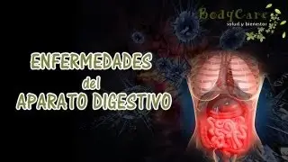Enfermedades del aparato digestivo