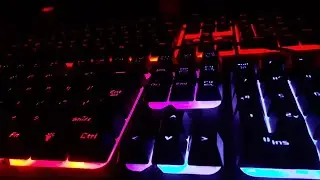 Cinematic Shots of my keyboard...| Ant Esports KM500W