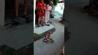 Ngamen topeng monyet