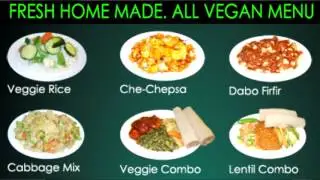 Manchester Animal Action Video Interview