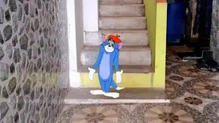 Tom And Jerry / Green Screen Tom / funny cartoon / cartoon network / vfx / graphics