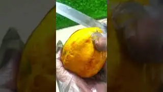 papaya cutting video #papaya #foodshorts #fruit #fruitcutting #food #yummy #viralvideo #shortsfeed