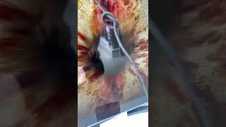 Acer nitro