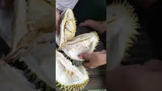 Durian napud 😆😆