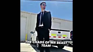 The members of Mr. Beast team vs The Chads of Mr. Beast team
