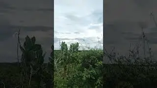 Momento exato, da cheganda da chuva no deserto da Bahia ponto novo Bahia