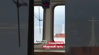 Арктика. Море Лаптевых. Северный Морской путь. 