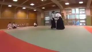 Okinawa Aikido Performance