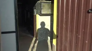 Заселяем в курятнике очередное помещение. Доминанты и не только.