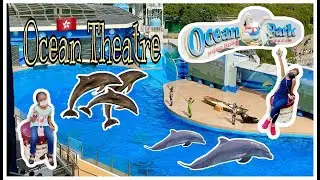 Ocean Theatre | Ocean Park🇭🇰 | Hongkong vlog | part 2