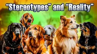 Dog Breed Stereotypes vs. Reality: Testing 100 Dogs Exposes the Shocking Truth! 🐾🔥 | Myth Busting