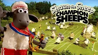 Full Episodes Compilation 🏆 Championsheeps 🐑 Shaun the Sheep 