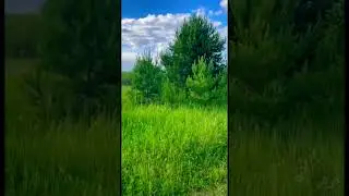 8 июля 2024 г.