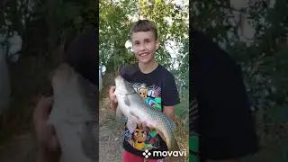 Рыбалка на кирпилях🐟