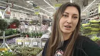 Я в шоке 🤯Ужас! Обмороженные орхидеи в Леруа Мерлен❗