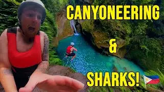 THIS is CEBU! 🇵🇭 Whale sharks & Canyoneering | Philippines