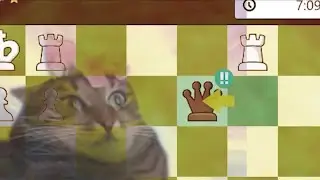 800 player makes a brilliant move to win the game