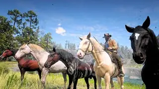 8 Rare Horses You Can’t Buy in Red Dead Redemption 2