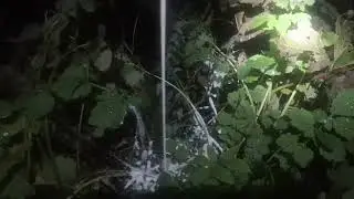 Ритуал - онлайн выгнать домового или сущность на ночь. К Хозяину морга.