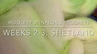 Glitched Stitchery Vlog 036: Woolery Spin-A-Long Progress-- Shetland Samples