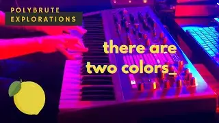 PolyBrute explorations: Alpha Child