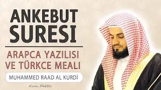 Ankebut suresi anlamı dinle Muhammed Raad al Kurdi (Ankebut suresi arapça yazılışı okunuşu ve meali)