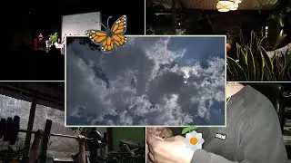 Lo que hago cuando no leo ~ Vlog 🎥