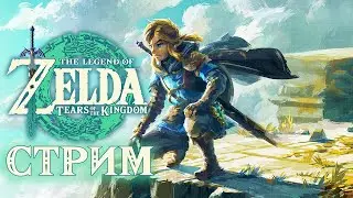 Ковчег в небе! ۞ The Legend of Zelda: Tears of the Kingdom #11