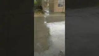 Maulan na Naman na Byahi 