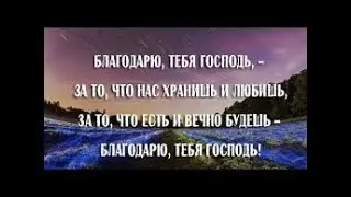 Благодарю