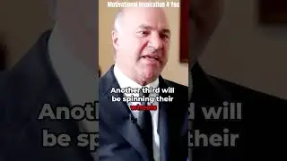 Experience - Kevin O’Leary 🗣️