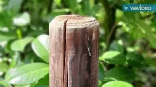 Natuur fotografie van  Ruben