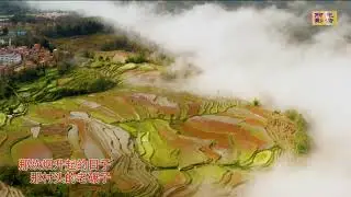 《爱永在》伴奏