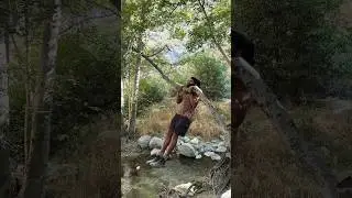 Tree hugger 💪🏾🌳