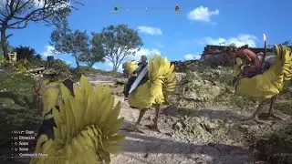 Red XIII on a Chocobo