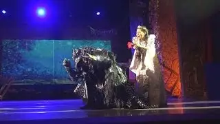 Ария Алёны и Чудища из мюзикла М.Дунаевского 