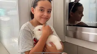 Como criar um coelho no apartamento