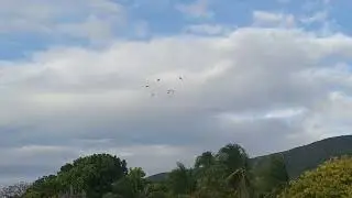 Toss Lang muna Tayo mga kalapatids.
