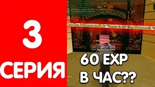 Путь бомжа #3 | КАК ФАРМИТЬ 60 EXP В ЧАС??(4МЛН НИЧЕГО НЕ ДЕЛАЯ) | АРИЗОНА РП
