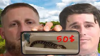 Venomous Reptile Black Market? Or Hit Piece To Attack Reptile Keepers